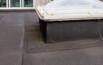 disadvantages of Frogs Green flat roofs
