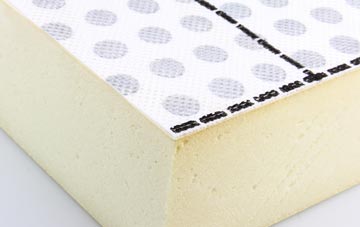 meeting Frogs Green building codes