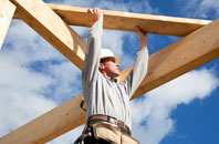 Frogs Green roof replacement work